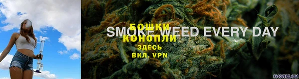 мдпв Дмитриев