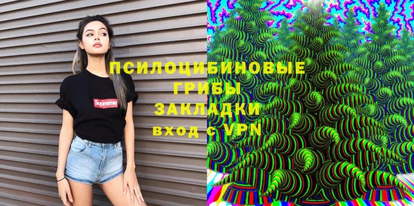 мдпв Дмитриев