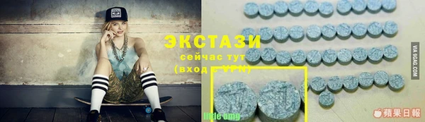 мдпв Дмитриев