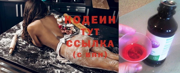 мдпв Дмитриев