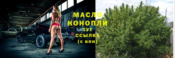 мдпв Дмитриев