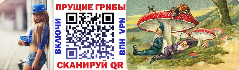 Купить закладки  Зубцов  Псилоцибиновые грибы GOLDEN TEACHER 