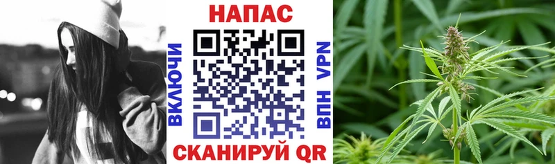 Купить  Зубцов  МАРИХУАНА Ganja 